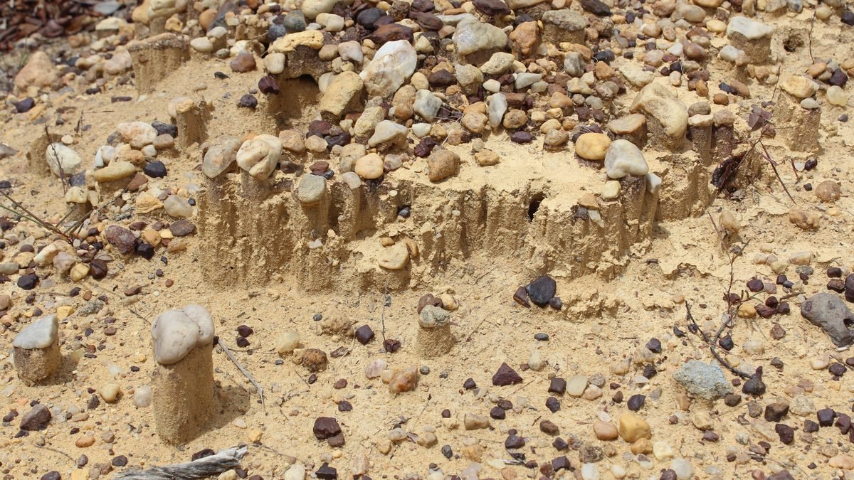 Fotografia de um depósito de conglomerado erodido na Serra da Capivara, com seixos soltos sobre colunas de areia