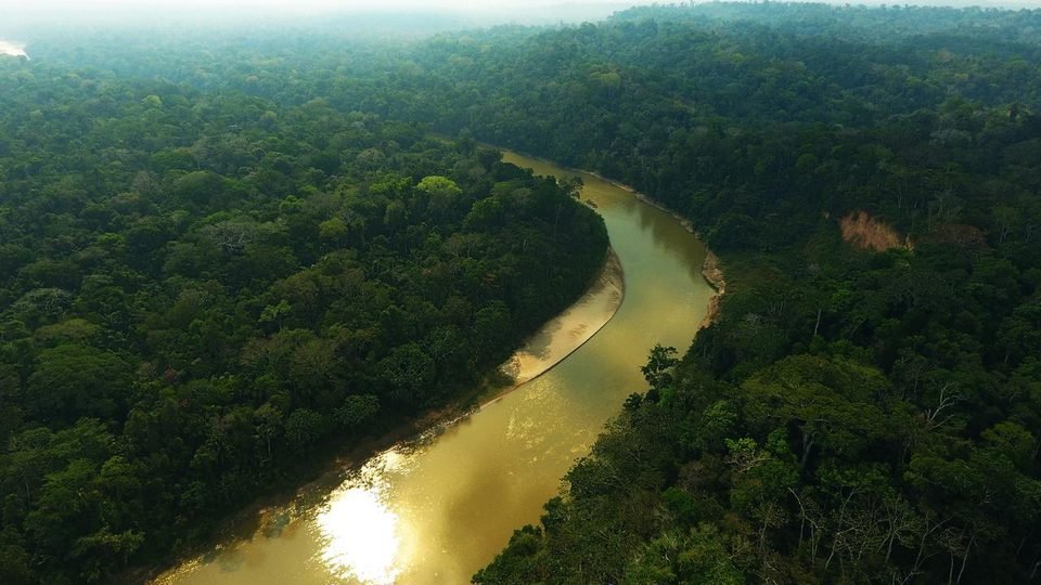 O rio Las Piedras, em Madre de Dios, visto de drone: água barrenta fazendo curva entre floresta fechada, com uma praia de areia na margem