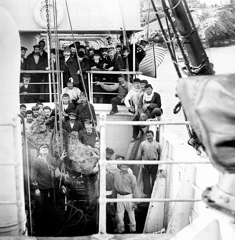Fotografia em preto e branco de 1900 ou 1901: marinheiros, funcionários e mergulhadores de esponja no convés de um navio, em volta de uma peça grande recém-tirada do mar, presa por redes