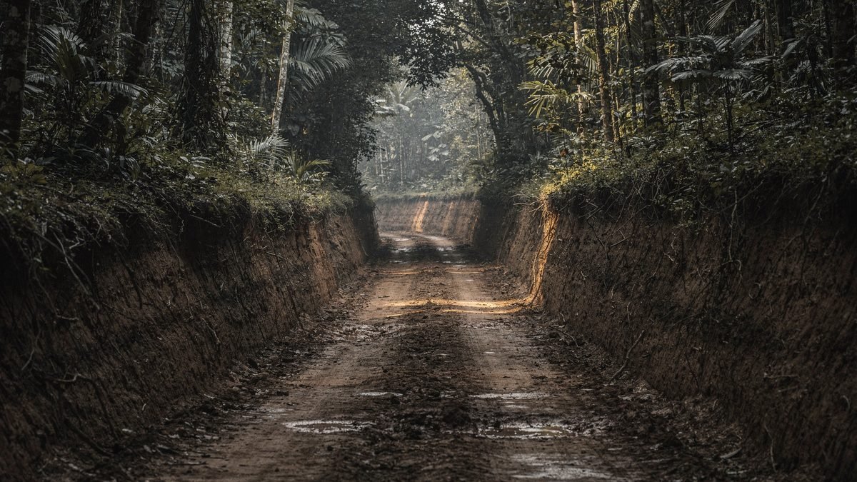 Recriação de uma estrada de terra escavada, com margens altas, atravessando reta uma floresta densa