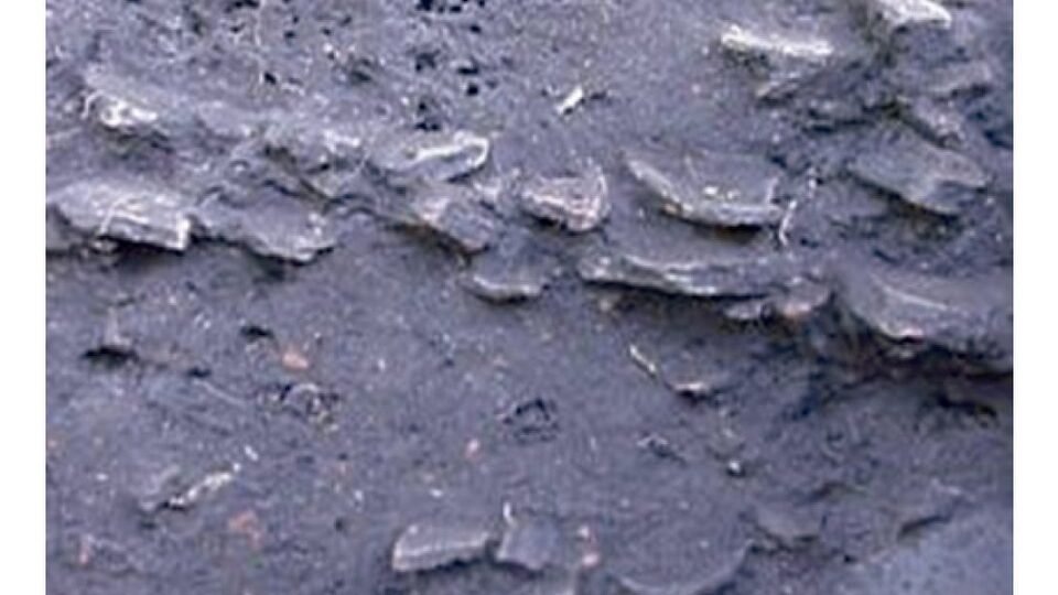 Fotografia de um perfil de solo de terra preta de índio, escuro e rico em carvão