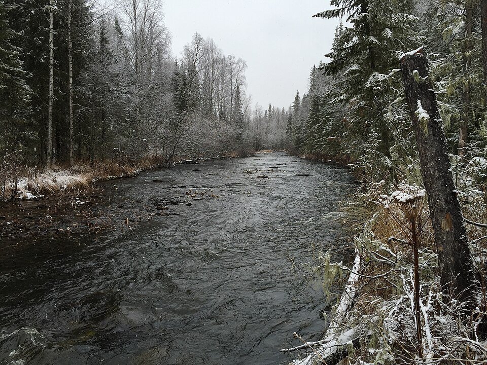 Rio de águas escuras correndo entre margens de taiga, com abetos e bétulas cobertos por uma primeira neve, sob céu cinzento