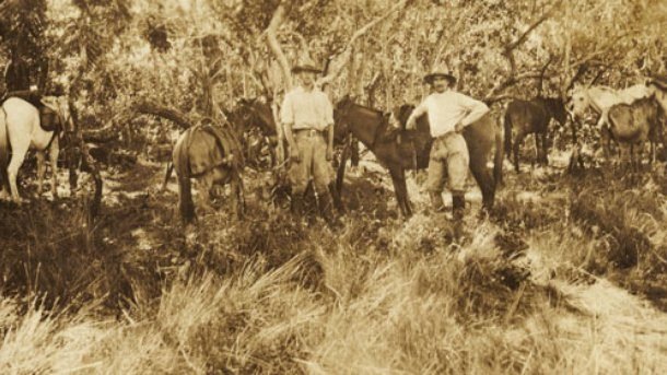 Fotografia em tom sépia de 1925 mostrando Jack Fawcett e Raleigh Rimell com animais de carga no capim alto