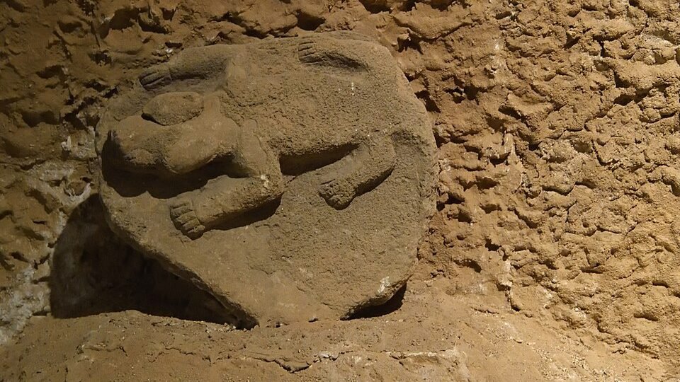 Photograph of a stone relief from Göbekli Tepe on display at the Şanlıurfa Museum