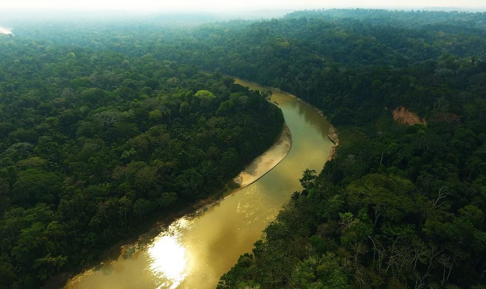 The Las Piedras River seen from a drone: a band of muddy water curving through dense forest, with a pale sand beach on the inner bank