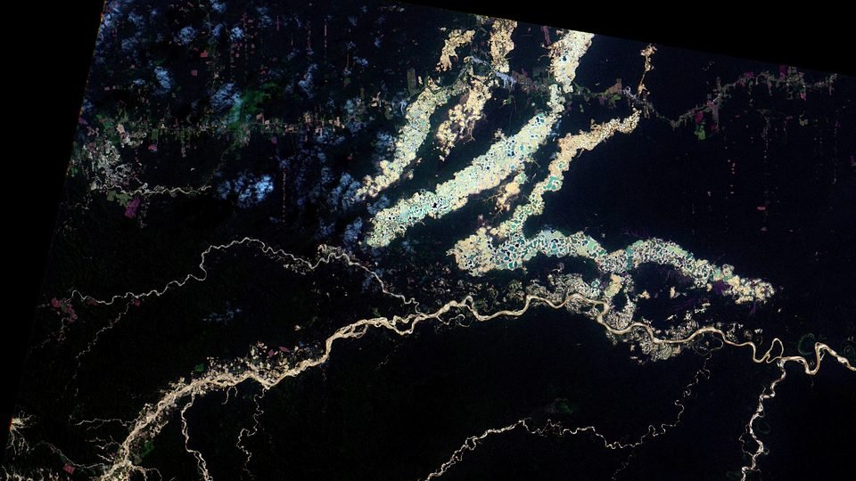 False-color satellite image: forest in black cut by long, pale, pitted patches of mining along winding rivers, with a road and cleared plots at the top