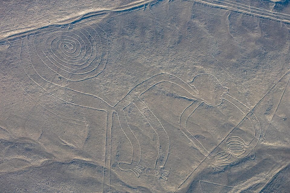 Vista aérea do geoglifo do macaco de Nazca: corpo de perfil, cauda enrolada em grande espiral à esquerda, mãos e pés com dedos, cortado por retas mais largas