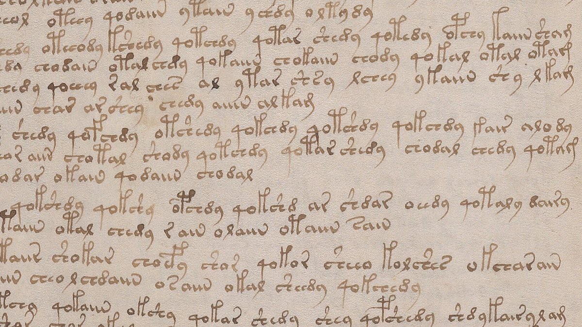Recorte fechado da escrita do manuscrito Voynich, com as palavras separadas por espaços